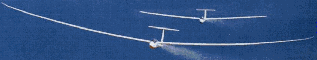 gliders